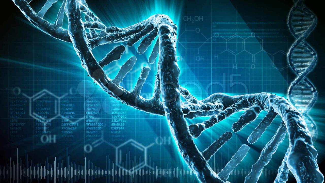 ADN là vật liệu di truyền có mặt ở người và hầu hết các sinh vật khác. Gần như tất cả tế bào trong cơ thể người có cùng một kiểu ADN. Chức năng của ADN là gì