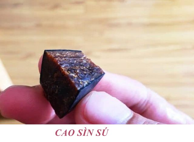 Cao sìn sú