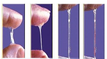 Độ bám dính của tinh trùng