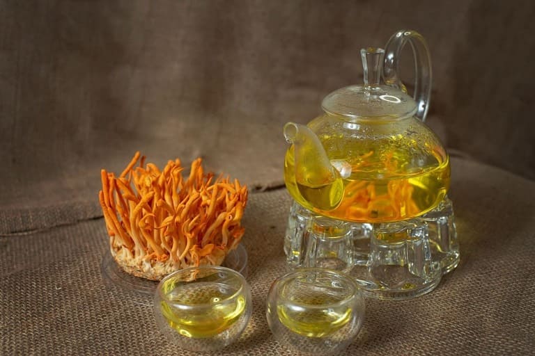 Đông trùng hạ thảo tốt cho phổi