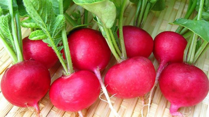 Bạn mơ thấy củ cải đánh đề bao nhiêu?